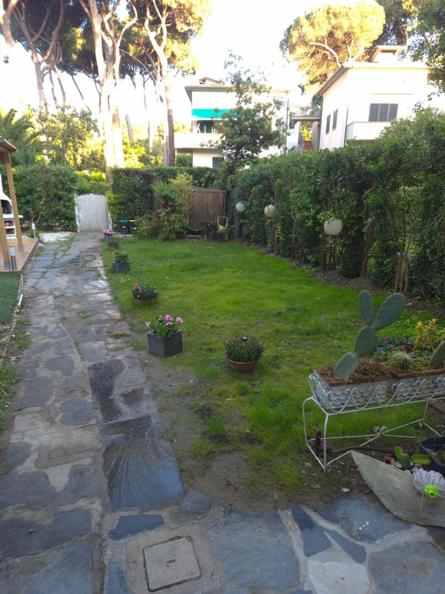 Domusauroom, Relax Nel Cuore Della Versilia - Pet Friendly Viareggio Exterior foto